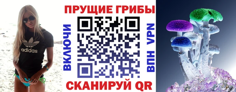 Псилоцибиновые грибы прущие грибы  Чишмы 