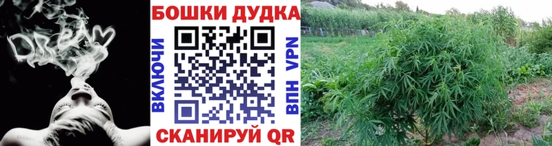 наркотики  Чишмы  Конопля AK-47 